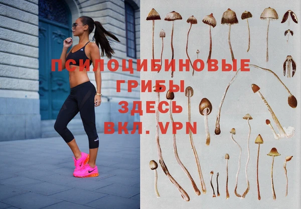 первитин Заводоуковск
