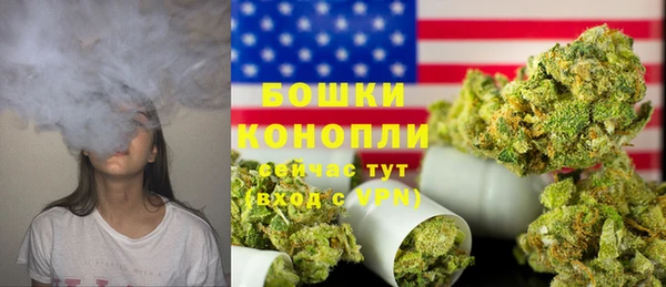 первитин Заводоуковск