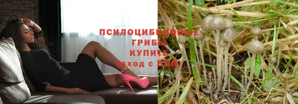 мдпв Заволжск